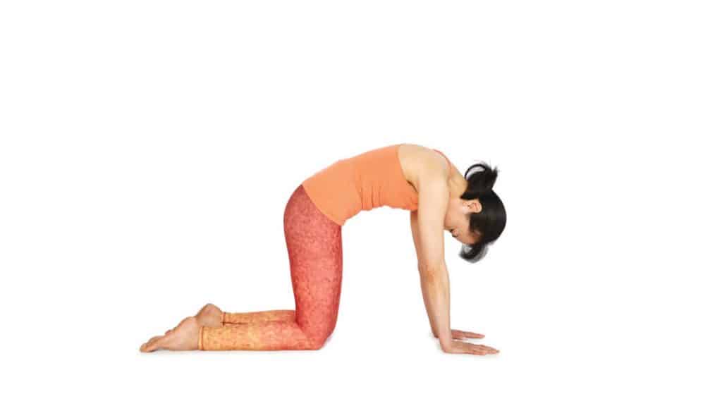 Why not to 'tuck the tailbone' in a yoga class | Movement Kitchen