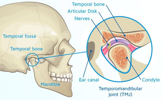 Visuals showing TMJ dysfunction causes and effects, promoting chiropractic neck pain treatment in Singapore