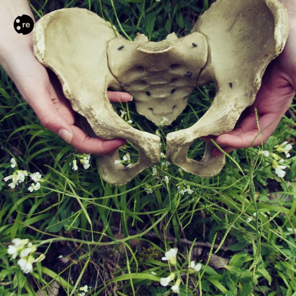 Pelvic Floor Therapy Singapore 2 pelvic floor therapy